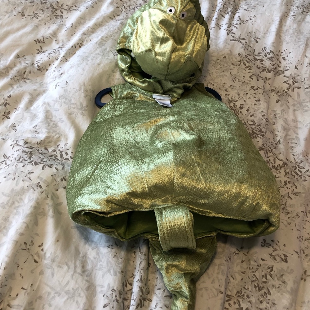 Toy Story REX Disney Store Costume